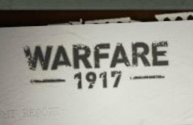 Warfare 1917